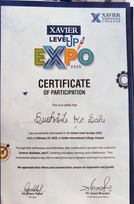 Level Up Expo 2025 participation certificate